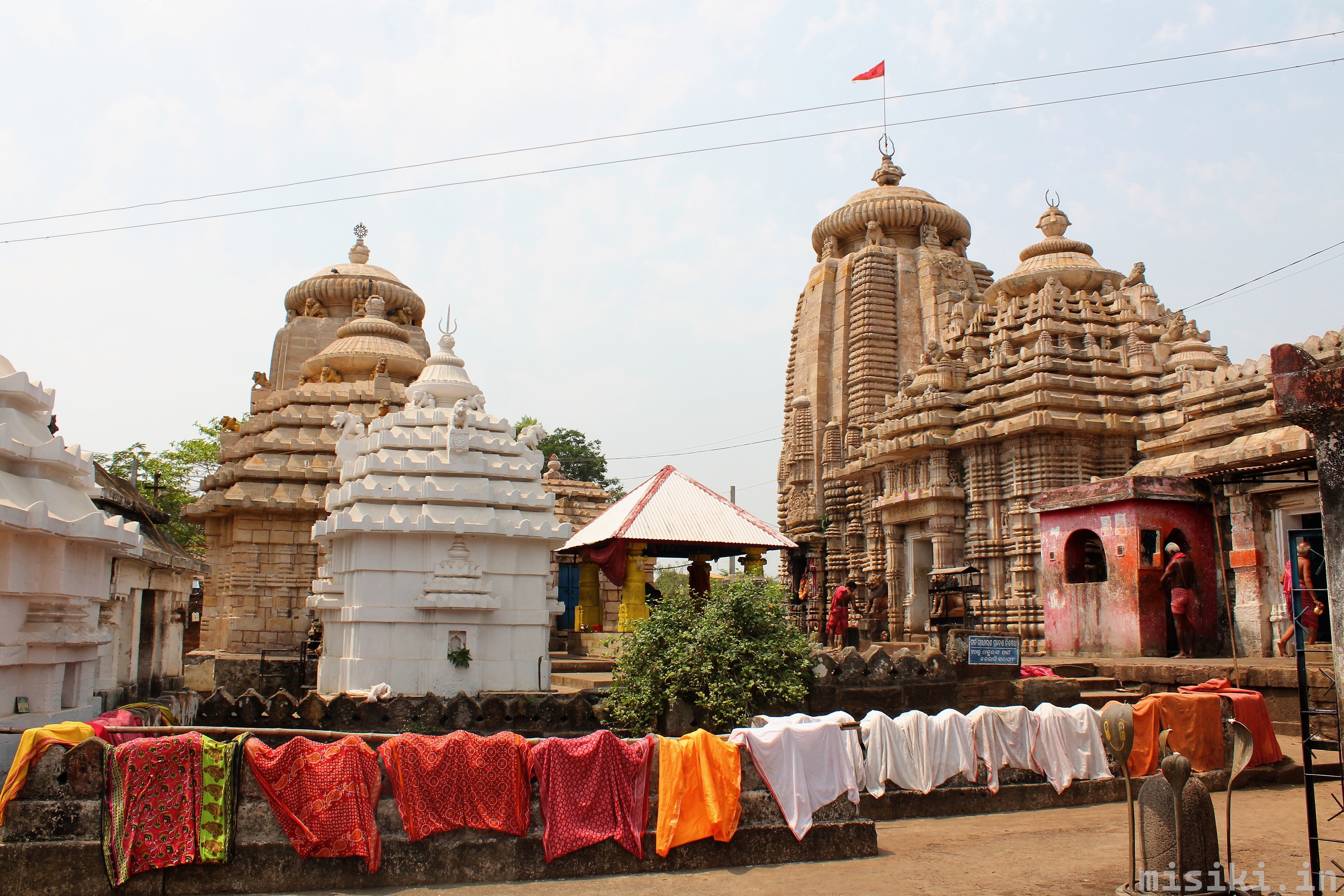 Talesvara Siva Temple: A Local's Guide to Bhubaneswar's Heritage