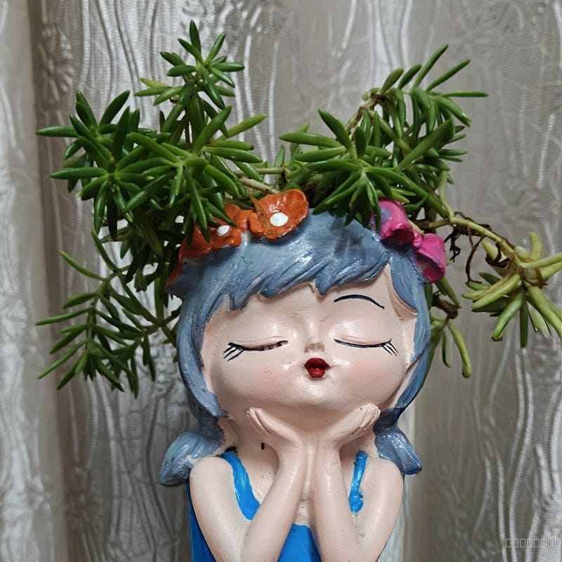 Plant in mini pot