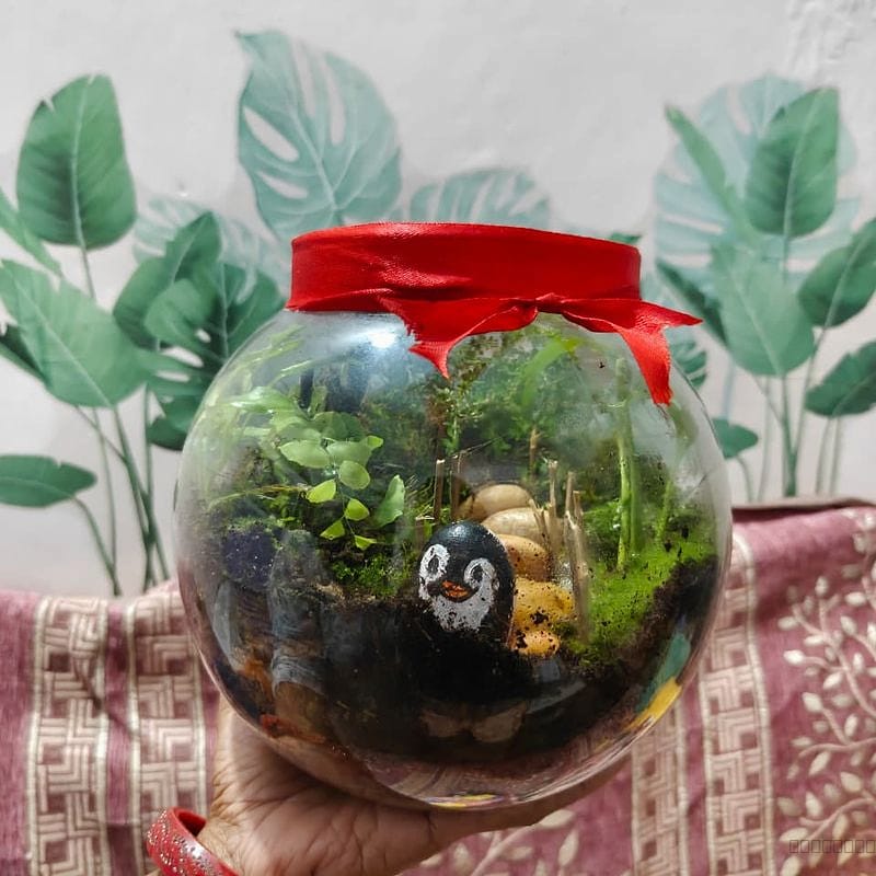Closed terrarium...a self sustaining table top garden 