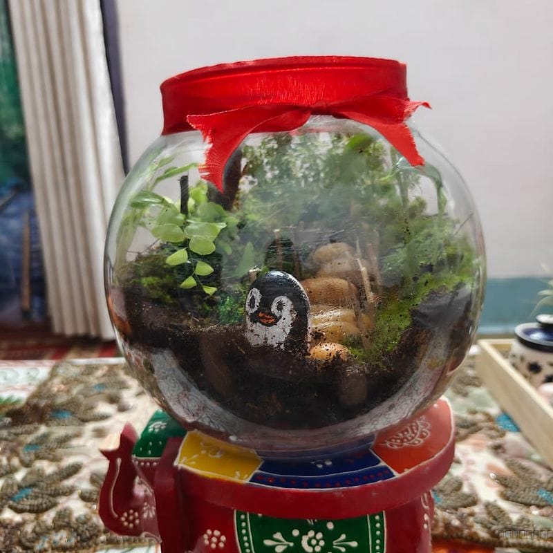 Closed terrarium...a self sustaining table top garden 