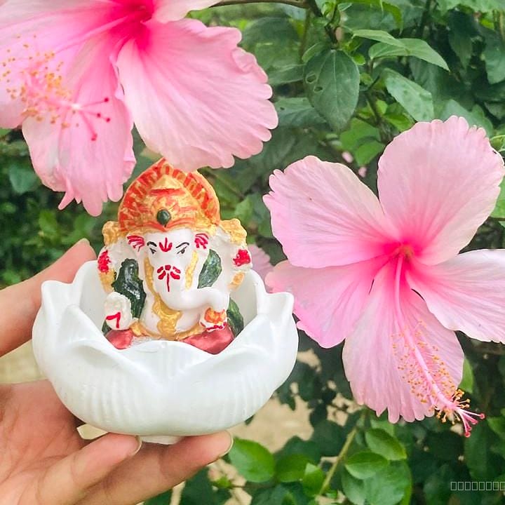 🐘🪷Ganesh Ji + Plain Lotus Combo